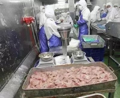 上海法院食品安全典型案例獲國(guó)新辦新聞發(fā)布會(huì)肯定