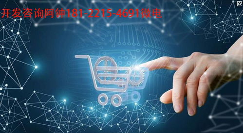 高登云享模式開發系統定制方案