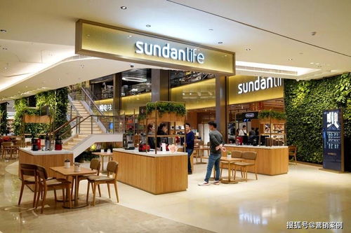 免費門店，年入400萬 購物商城定制開發的創新商業模式啟示